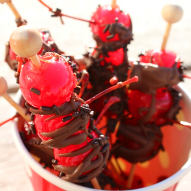 Single chocolate cherry bomb served on white plate